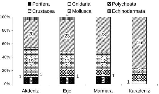 Figure 1. Distribution of commercially important invertebrates inhabiting the Turkish seas to  systematic groups