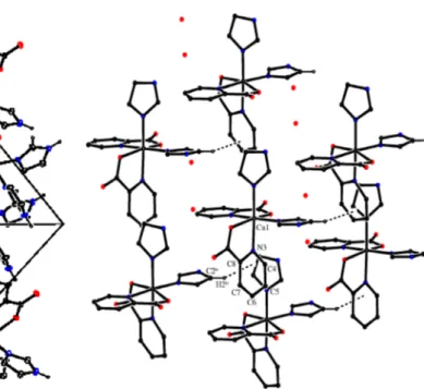 Fig. 4. The packing of the [Cu(pic) 2 (im) 2 ] ·2H 2 O complex with the unit cell.
