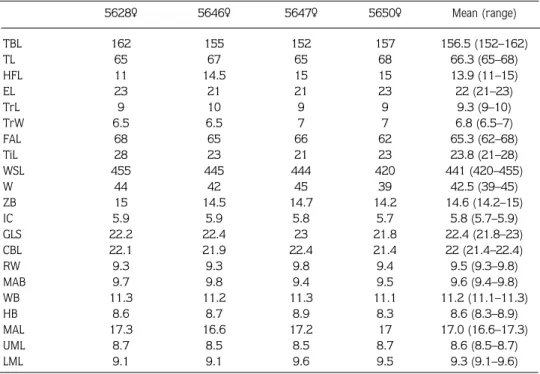 Table 1. The external cranial measurements (mm) and weights (g) of N. lasiopterus specimens (n = 4)