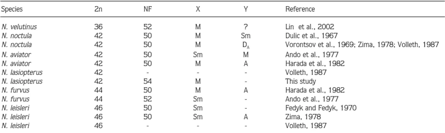 Table 2. Comparison of the chromosomal results for the species of the genus Nyctalus.