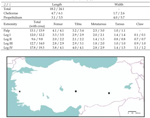 Table 1. Measurements (mm) of Gylippus monoceros. 