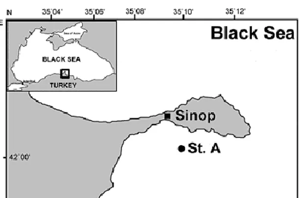 Figure 1. Location of sampling station (St A). 