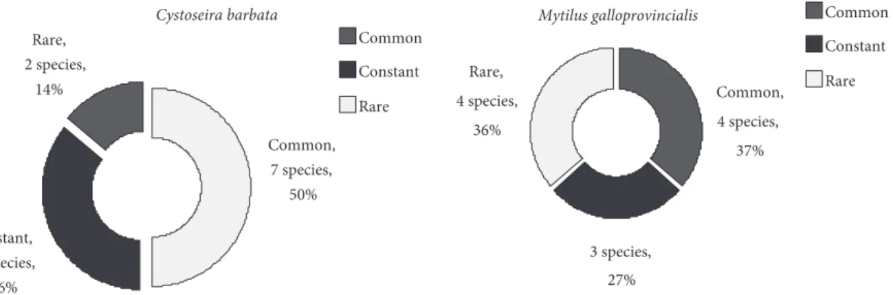 Figure 5. The distribution of the species associated with the C. barbata and M. galloprovincialis facies, into 3 frequency categories.