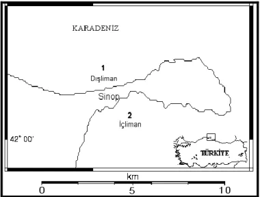 Şekil 1. Çalışma alanları 