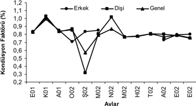 Şekil 3. L. aurata türünün kondüsyon faktörünün cinsiyet ve aylara göre değişimi 