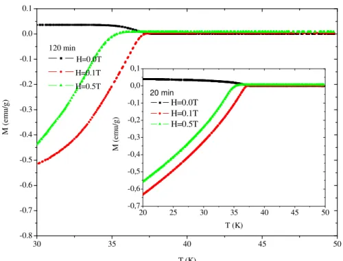 Figure 4.  Temperature dependence of magnetization for MgB 2  samples sintered at 800 ºC for 20 