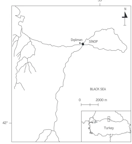Figure 1. Sampling station BLACK SEADÝßlimanSÜNOP35¡ N02000 m42¡Turkey