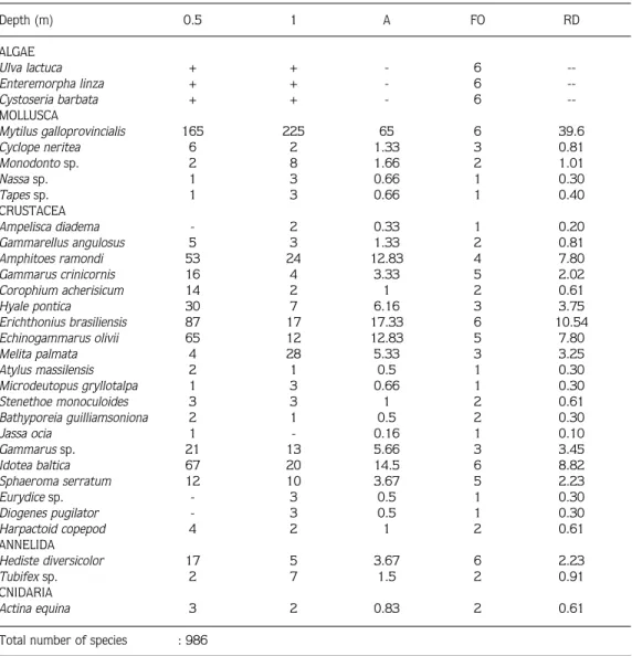 Table 4.  Variations in species number of macrobenthic fauna at different depths and  abundance (A), the frequency of occurrence (FO), relative dominance (RD).