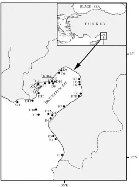 Figure 1. Map of the study area, indicating the position of sampling stations.