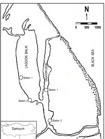 Fig. 1: The geographical location of lagoons and the sampling stations
