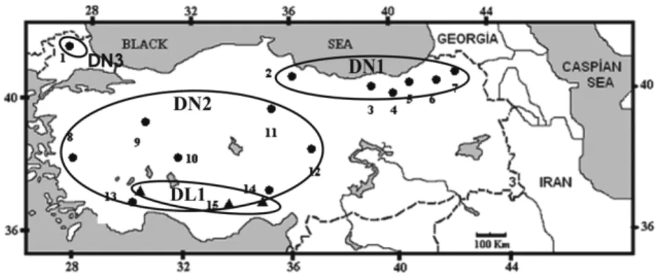 Fig. 1. The collecting cites of specimens in Turkey. 1: Turkish Thrace (Edirne): 2-7: Eastern Black Sea Region (2: 