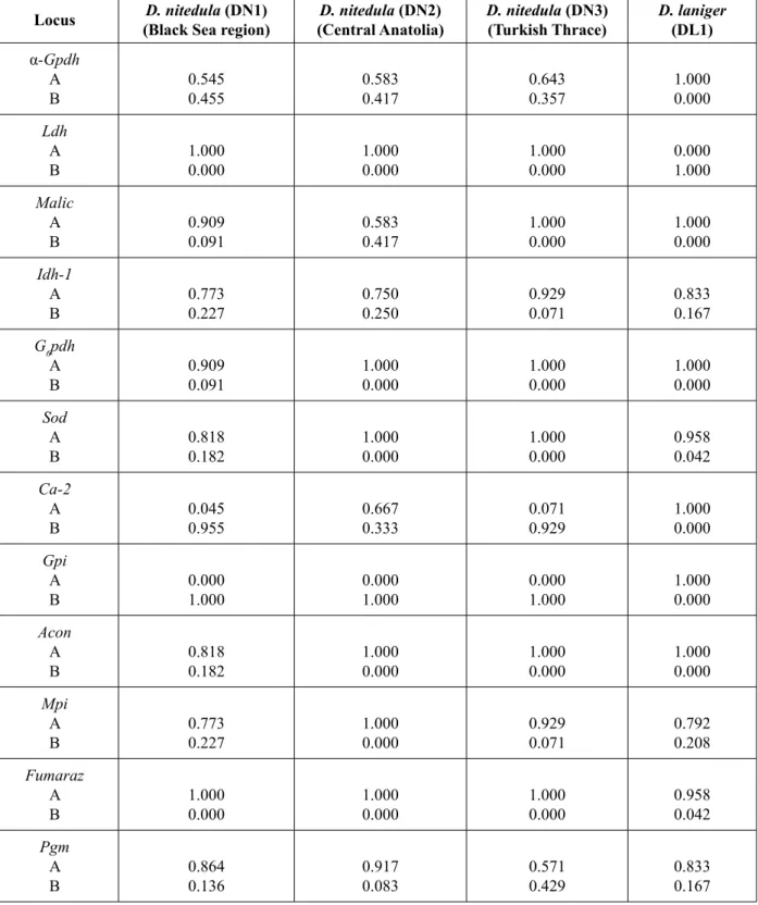 Table 2. Allele frequencies of 12 polymorphic loci in populations of Dryomys spp. 