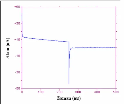 Şekil 5.6’da EZE için çift potansiyel tekniği uygulanarak elde edilen akım  zaman grafiği görülmektedir