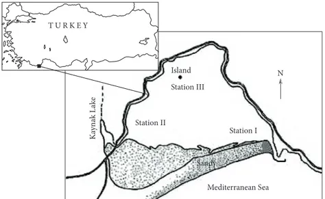 Figure 1. Sampling stations in Beymelek Lagoon.