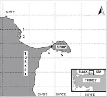 Figure 1. Study area. 