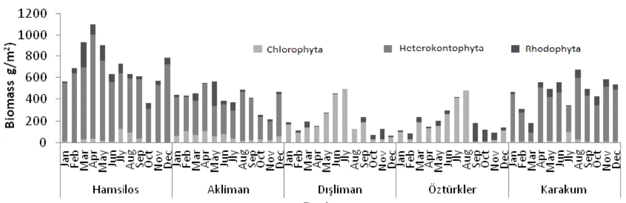 Figure 2. The monthy variations of macroalgal biomass for each taxon according to the stations throughout the year