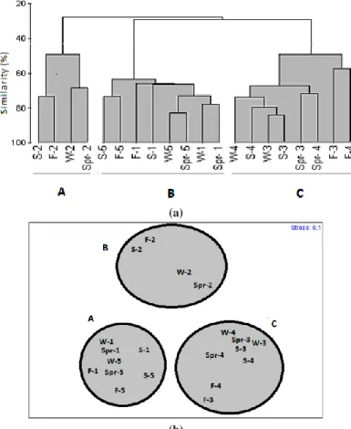 Figure  10.  (a)  Results  of  Cluster  analysis,  based  on  Bray-Curtis  Similarity  Index  (macroalgal  biomass)  Scale  bar,  rescaled 