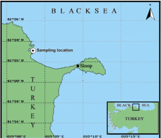 Figure 1. Map of the study area with the sampling site 