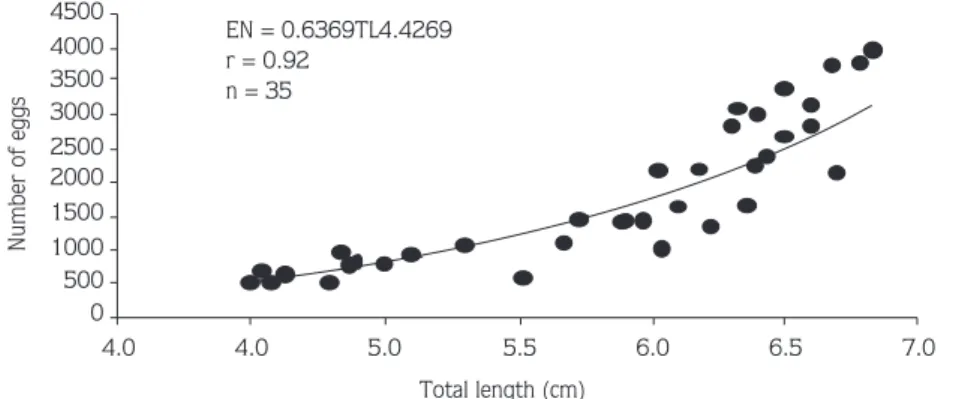 Figure 1. Relationship between total length and number of eggs in Crangon crangon females from Sinop Peninsula at the first developmental stage