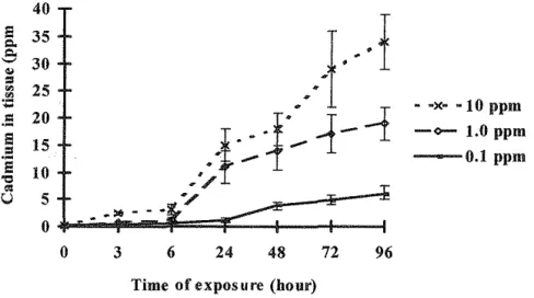 Figure 3. Mean  concentrations  of cadmium  in  Corophium  at  0,  3,  6,  24,  48,  72  and 96h  static bioassay of sea  water  with  uncontaminated sediment