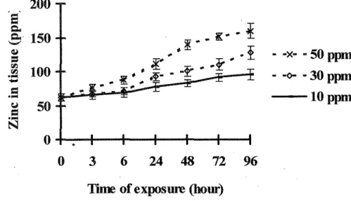 Figure 5.  Mean  concentrations  of zinc  in  Corophium  at  0,  3,  6,  24,  48,  72  and  96h  static  bioassay  of sediment  with  uncontaminated  sea  water