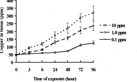 Figure  1.  Mean  concentrations of copper  in  Corophium  at 0,  3, 6,  24, 48,  72  and 