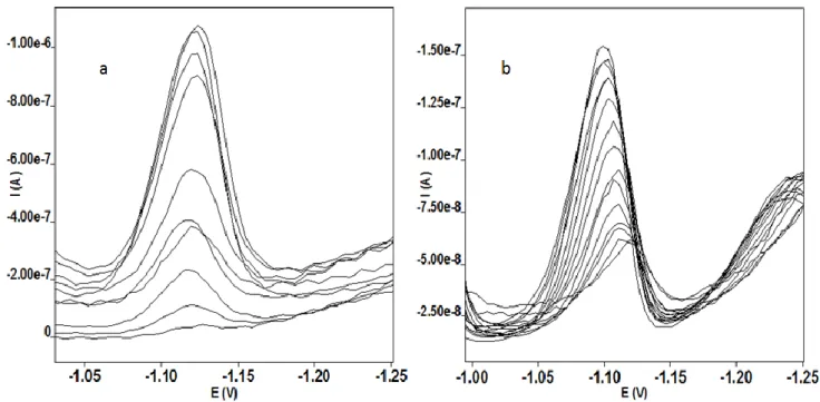 Figure 4. Voltammograms of a 2.10 -12  M Co(II)-DMG complex in ammonia buffer and 0.5 M nitrite  media a) AdsSWV b) AdsDPV  