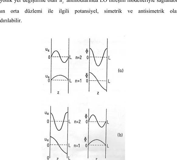 Şekil 2.2.  LO (longitudinally polarized) örnekleri. (a) Hidrodinamik model; (b) dielektrik-