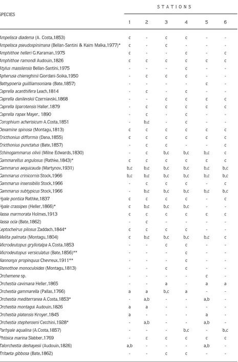 Table 2. List of species found at the stations (a: supralittoral, b: mediolittoral, c: infralittoral; * species new to the Turkish Black Sea fauna, ** species new to the Turkish fauna)