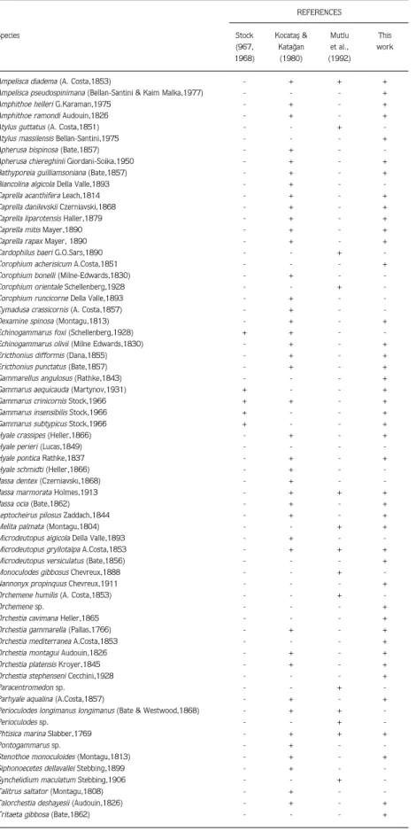 Table 3. Amphipod species of the Turkish Black Sea coasts.
