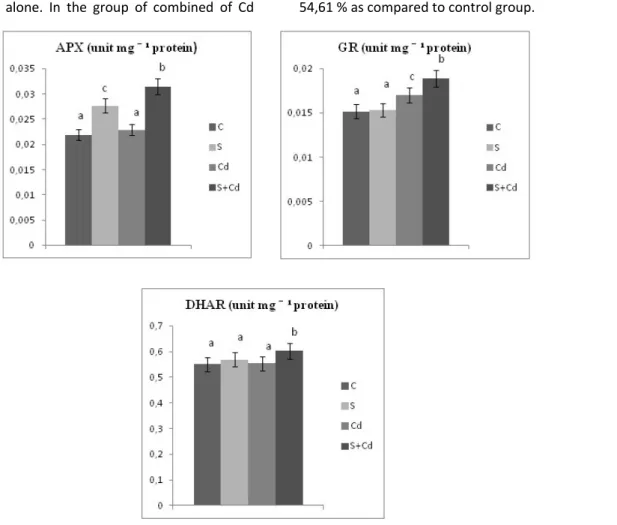 Figure 1. Changes in a) APX b) GR c) DHAR activities in leaves of  (Glycine max L. Merr.)  under  stress 