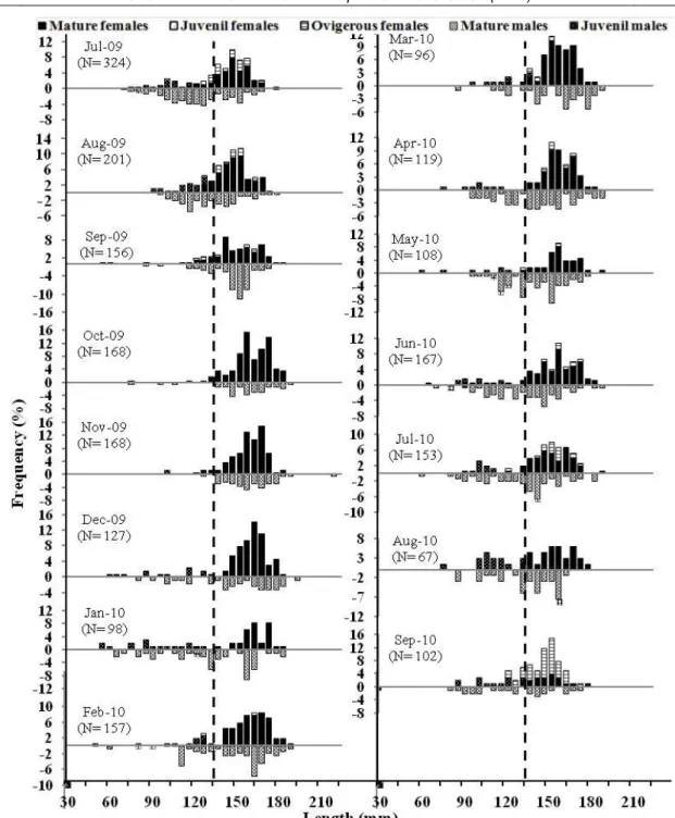 Figure 4. Length–frequency distribution (in percentages) for both sexes of C. sapidus