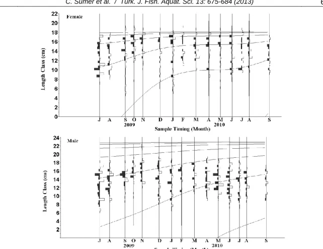 Figure 6. Length-frequency distribution with seasonal von Bertalanffy growth curves for both sexes of C