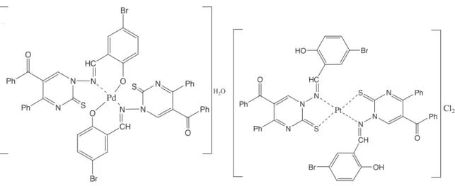 Figure 3. Proposed structures of the [Pd(L) 2 ] ·H 2 O and [Pt(LH) 2 ]Cl 2 complexes.