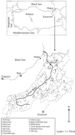 Fig. 1. Distribution of Barbus in the Coruh Basin.Black SeaHopaHopaErzurumAnkaraAegenianSeaMediterranean SeaBlack SeaRizeTrabzonArtvin1211108261351 7493Coruh RiverErzurumN Scale= 1:1.750.0001