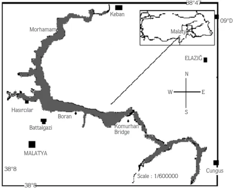 Figure 1. Map of the Karakaya dam lake 