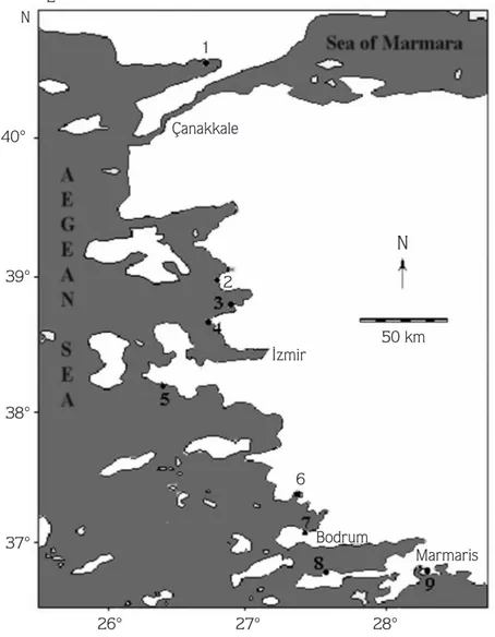 Figure 1. Study area with sampling sites. 