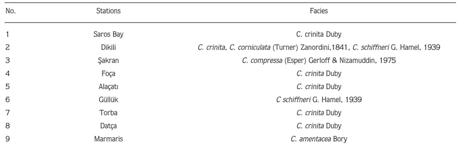 Figure 2. Species and specimen numbers of crustacean groups.