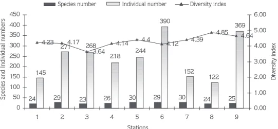 Figure 3. Distribution of identified species, specimen numbers and diversity index values among the stations.