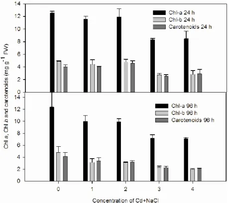 Figure 1. The combined effects of Cd and NaCl on chlorophyll a, chlorophyll b 