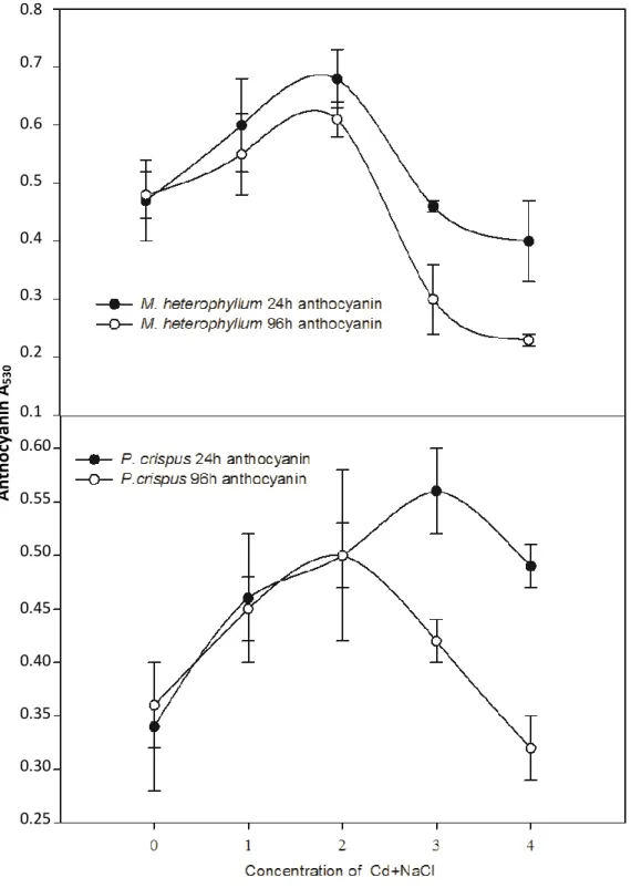 Figure 3. The combined effects of Cd and NaCl on anthocyanins in M. heterophllum and P.crispus 