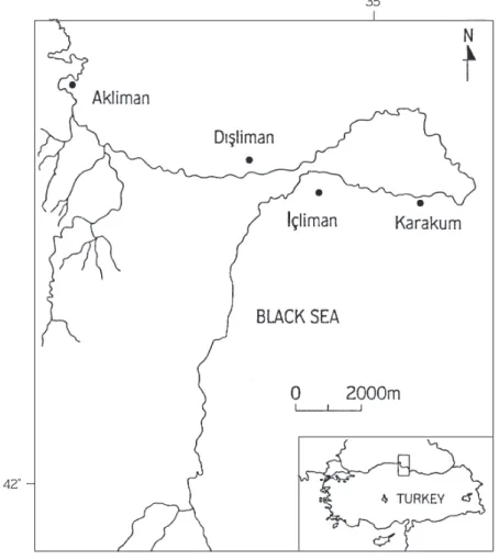 Figure 1. Sampling stations and study area.