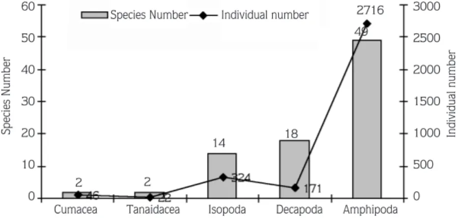 Figure 2. Numbers of species and specimens belonging to Crustacea groups.