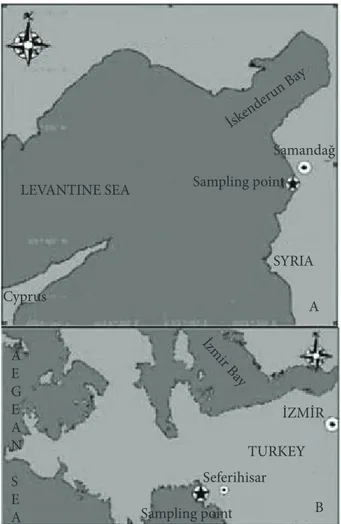 Figure 1 a and b. Sampling locations.