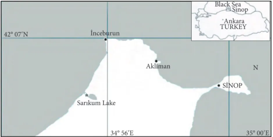 Figure 1. Map of Sarıkum Lake showing the sampling area (*).