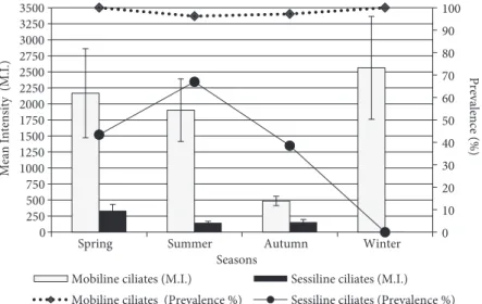 Figure 4. Values of prevalence and mean intensity of epizoic ciliates on juvenile flounder according to seasons.