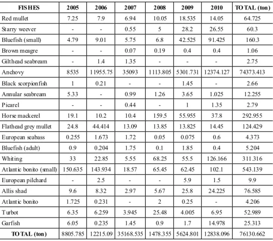 Table 8.  Amount of fish caught in Sinop between 2005-2010 (tons)[10] 