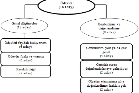 Şekil 4. Öğretmen Adaylarına Göre Verilen Ödevler 