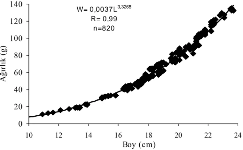 Şekil 2. Lüfer balığına ait boy-ağırlık ilişkisi grafiği. 
