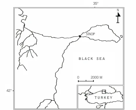 Figure 2. Geographical location of the sampling station.